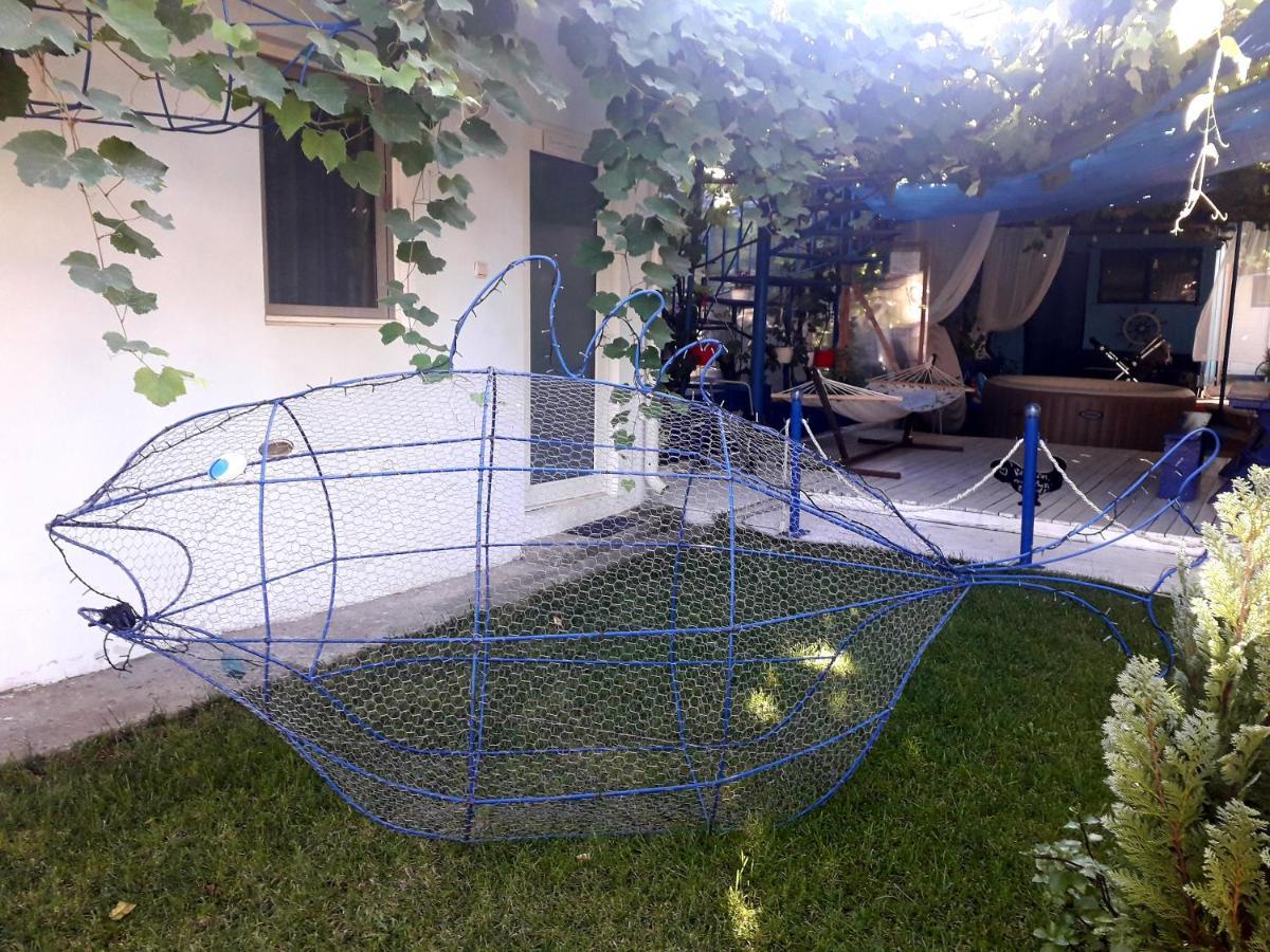 Casa Babica Guesthouse Костинешти Экстерьер фото
