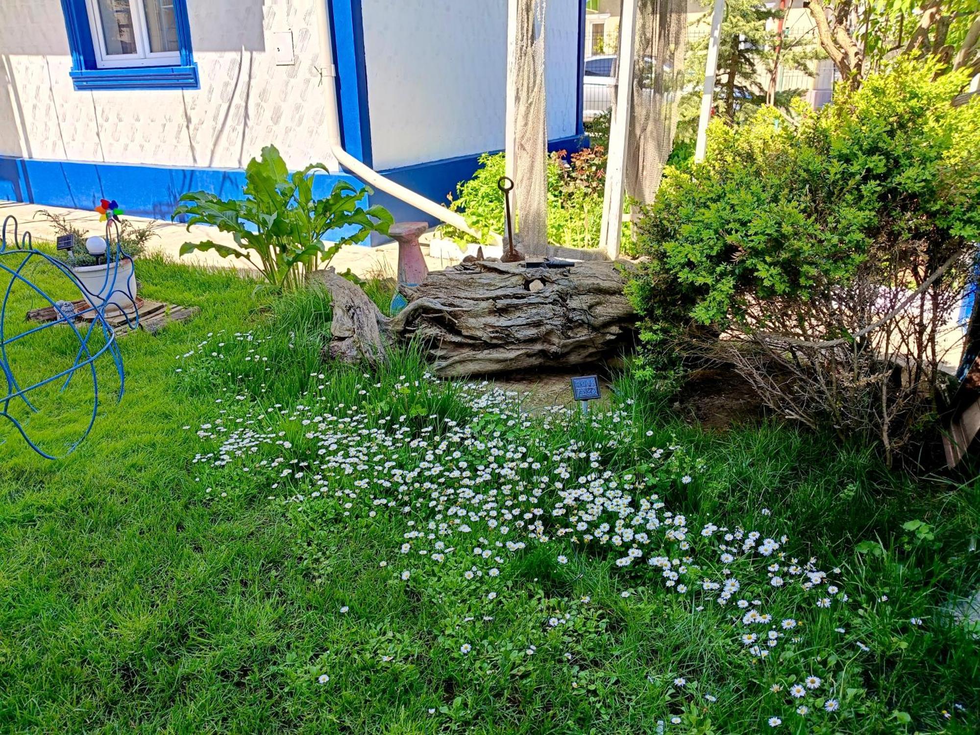 Casa Babica Guesthouse Костинешти Экстерьер фото